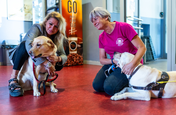 Centar za rehabilitaciju Silver, 2024.