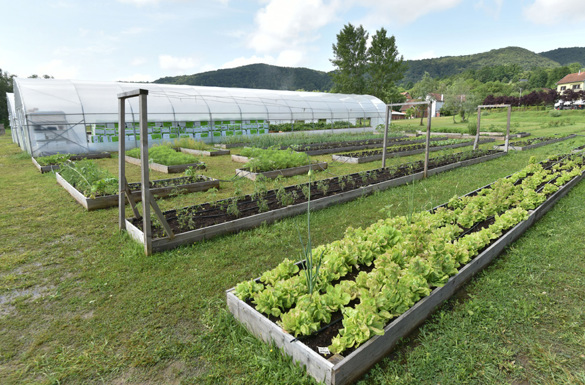 Udruga osoba s invaliditetom Sisačko-moslavačke županije